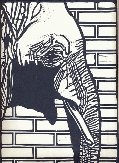 Lubok