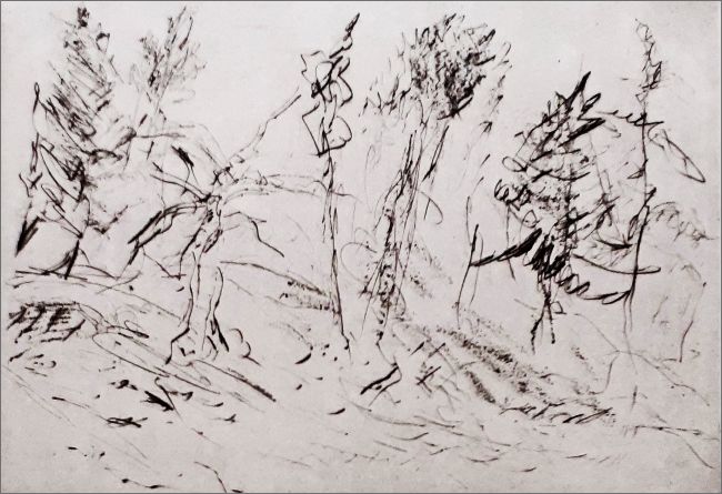 Bildausschnitt