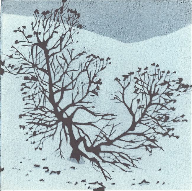 detail